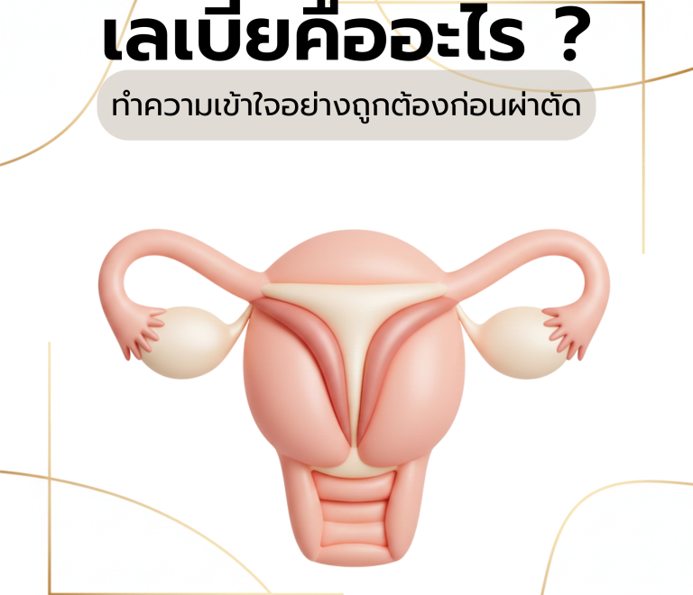 ภาพการ์ตูน 3 มิติ อธิบายเลเบีย ซึ่งเป็นอวัยวะเพศหญิงภายนอก