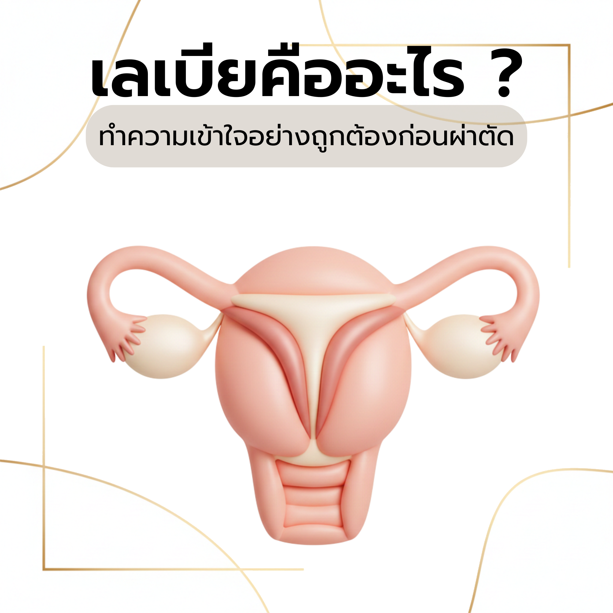 ภาพการ์ตูน 3 มิติ อธิบายเลเบีย ซึ่งเป็นอวัยวะเพศหญิงภายนอก